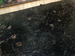 -旭龙鱼头王(航华店)