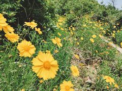 -惠山国家森林公园