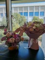 -安琪朵朵独栋花园月子中心