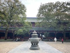 -灵谷景区
