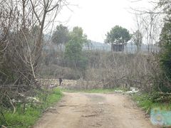 -东湖小天池真人CS彩弹野战基地