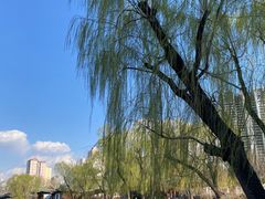 -迎泽公园