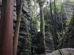 -梭布垭石林景区