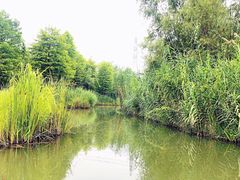 -梁鸿国家湿地公园