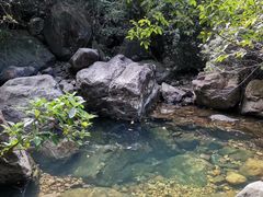 -银瓶嘴森林公园