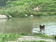 -上海野生动物园