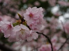 -静安雕塑公园