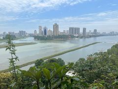 -成都绿洲大酒店(春熙路太古里店)