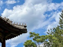 -颐和园