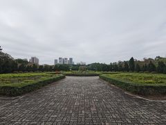 -南沙蒲洲花园