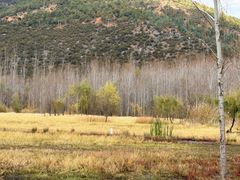 -泸沽湖国家级风景名胜区走婚桥