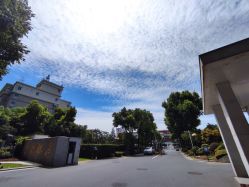 -华东饭店·园林式婚礼宴会厅酒店