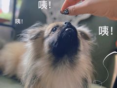 -铁炉咖啡(河下古镇店)
