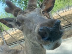 -秦皇岛野生动物园