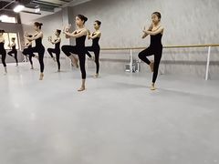 -舞蕾舞蹈(特长生校区)