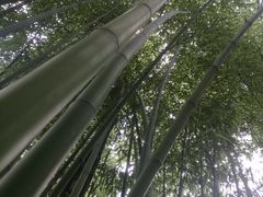 -竹泉村旅游度假区