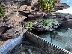 -山水茶艺馆·点心粤菜·30年老字号