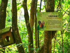 -七仙岭君澜度假酒店·桃源小馆中餐厅