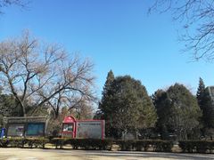 -北京大学燕东园