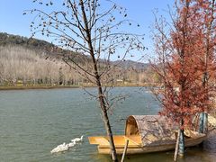 -千年银杏谷文化旅游区