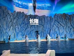 -珠海长隆海洋王国