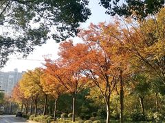 -南浦大桥长途旅游客运站