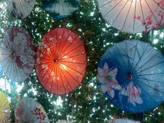 -海韵人家.海景花园经典云南菜(双廊店)