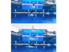 -南昌海洋公园