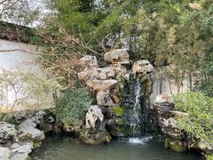 -上海醉白池公园