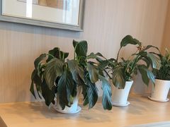 -唯烤汇(步阳江南甲第1期店)