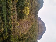 -雁荡山大龙湫景区