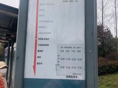 -上海崇明金茂凯悦酒店
