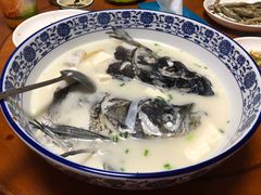 -全乐鱼馆·淳牌有机鱼直营店