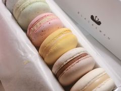 -BLACKSWAN黑天鹅(环球店)