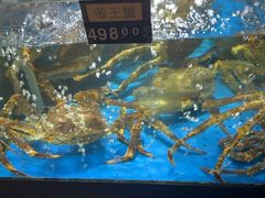 -蟹之国·精品蟹料理(极地店)