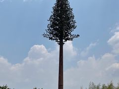 -云南野生动物园