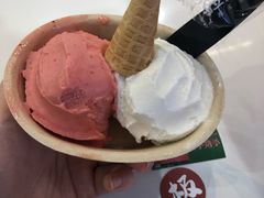 极度好椰-极拉图·现制冰淇淋(大卫城店)