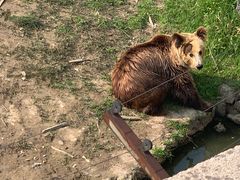 -宿豫区运河湾森林动物园