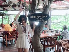 -卷心菜和避孕套餐厅(Pattaya)
