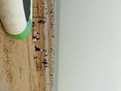-日照海滨国家森林公园