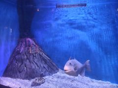 -华夏文旅海洋公园