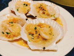 清蒸元贝-钟菜·粤菜点心·宴请(海上世界·汇港二期店)