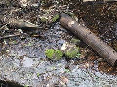 -贵阳市花溪国家城市湿地公园