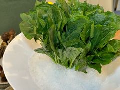 -喜聚薈·花膠雞海鮮火鍋(越秀店)