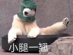 -宗泉烤全羊·烤羊腿·家常菜(解放东路店)