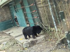 -关西瀑布