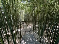 -泰山风景名胜区-普照寺