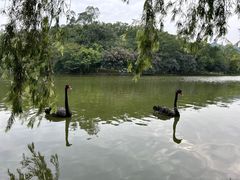 -番禺大夫山森林公园