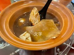 -大中鱼翅 Taitong Shark Fin