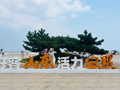 -日照海滨国家森林公园